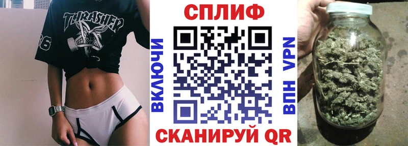 Бошки Шишки марихуана  МЕГА онион  Пугачёв 